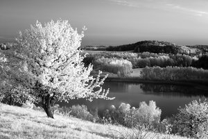 2013_05_05_SD15_Rummelsberg_Wesensee_IR850nm_0080_VarB_1200x800pix.jpg