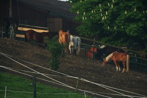 500k_IMG_5544.jpg 500k_IMG_5544.jpg