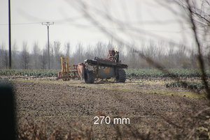 270 mm.jpg 270 mm.jpg