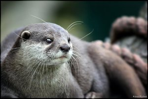 sample 1.jpg sample 1.jpg