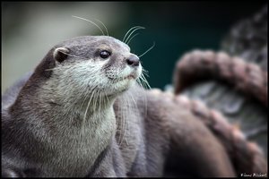 sample 2.jpg sample 2.jpg