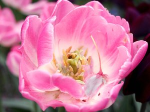 comp_P5130712 Kopie.jpg