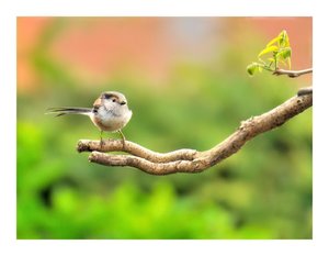 Compressed_0253.jpg Compressed_0253.jpg