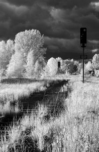 2013_05_12_SD15_RBhf_Wuhlheide_IR_0041_589x900pix.jpg 2013_05_12_SD15_RBhf_Wuhlheide_IR_0041_589x900pix.jpg