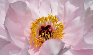 c_DSC_0408.jpg c_DSC_0408.jpg