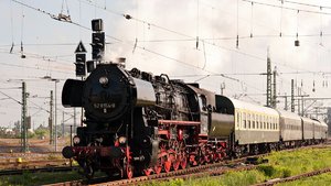 02-comp__D707448.jpg 02-comp__D707448.jpg