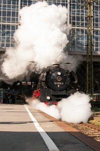 10-comp__D707509.jpg 10-comp__D707509.jpg