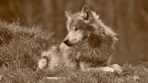 comp_DSC_6967 Kopie.jpg