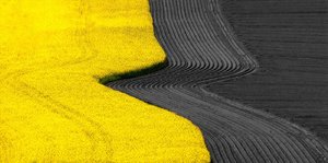 web_SDIM4643 Kopie.jpg