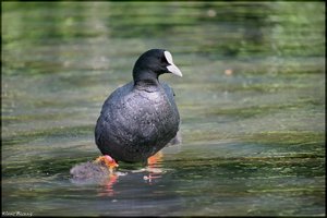 sample 5.jpg sample 5.jpg