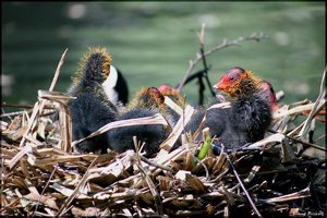 sample 7.jpg sample 7.jpg