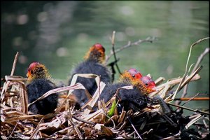 sample 8.jpg sample 8.jpg