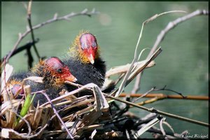 sample 10.jpg sample 10.jpg