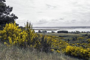 comp__DSC3705ck.jpg comp__DSC3705ck.jpg