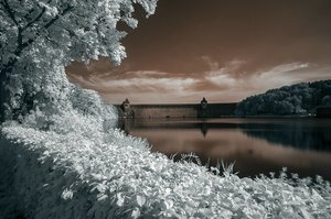 comp_comp__DSC1157rot.jpg comp_comp__DSC1157rot.jpg