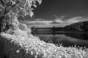 comp_comp__DSC1157sw.jpg comp_comp__DSC1157sw.jpg