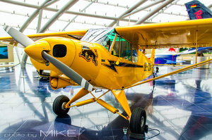 DSC_5476-gelber Flieger.jpg