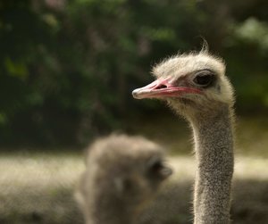 _DSC3102.jpg _DSC3102.jpg