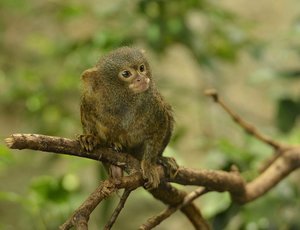 _DSC3120.jpg _DSC3120.jpg