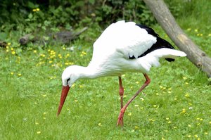 _DSC3139.jpg _DSC3139.jpg