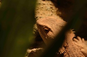 _DSC3185.jpg _DSC3185.jpg