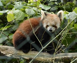 _DSC3206.jpg _DSC3206.jpg