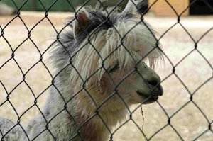 _DSC3211.jpg _DSC3211.jpg