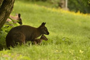 _DSC3224.jpg _DSC3224.jpg