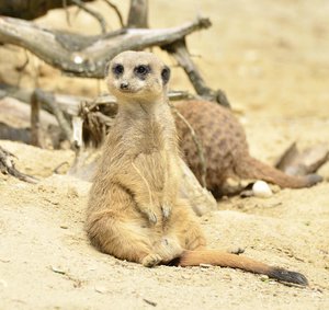 _DSC3299.jpg _DSC3299.jpg