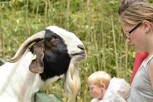 _DSC3253.jpg _DSC3253.jpg