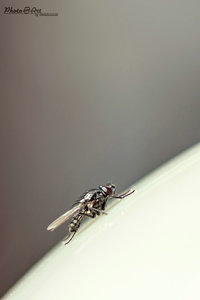 6747_2-1fertig_1200x---- Kopie.jpg