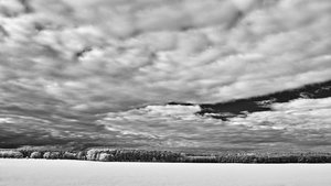 2013_05_20_SD15_IR_0293_20mm_RG850nm_Polfilter___Rapsfeld_bei_Ottmannsdorf_1920x1080pix.jpg