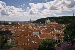 comp_SDIM0810.jpg comp_SDIM0810.jpg