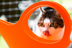 KJAK6399.jpg KJAK6399.jpg