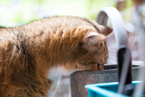 KJAK6413.jpg KJAK6413.jpg