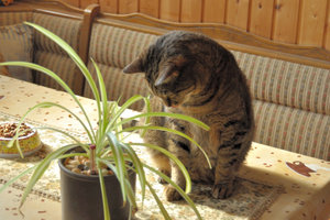 DSC_0032.JPG DSC_0032.JPG