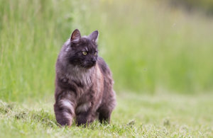 3384-Krötchen--web.jpg 3384-Krötchen--web.jpg