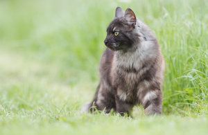 3457-Krötchen-web.jpg 3457-Krötchen-web.jpg