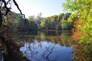 K1024_Nikon D5000 12.12.2010 093.JPG