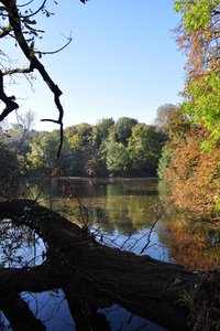 K1600_Nikon D5000 12.12.2010 094.JPG