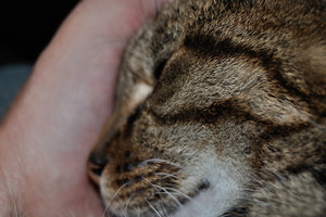 DSC_0001.JPG DSC_0001.JPG