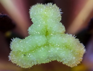 DSC0011_Bildgröße ändern_Bildgröße ändern.jpg