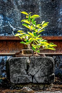 Bild 2.jpg Bild 2.jpg