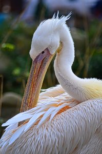 DSC_09989c_ji_c.jpg DSC_09989c_ji_c.jpg