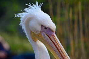 DSC_10004c_ji_c.jpg DSC_10004c_ji_c.jpg