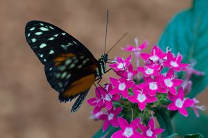 comp_DSC_7258 Kopie1_bearbeitet-1.jpg