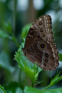 comp_DSC_7265 Kopie1_bearbeitet-1.jpg