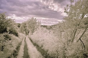 500k_SDIM4671-2_edited.jpg 500k_SDIM4671-2_edited.jpg