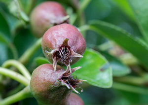 DSC0111633_Bildgröße ändern.jpg