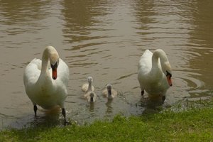 IMG_1190.jpg IMG_1190.jpg